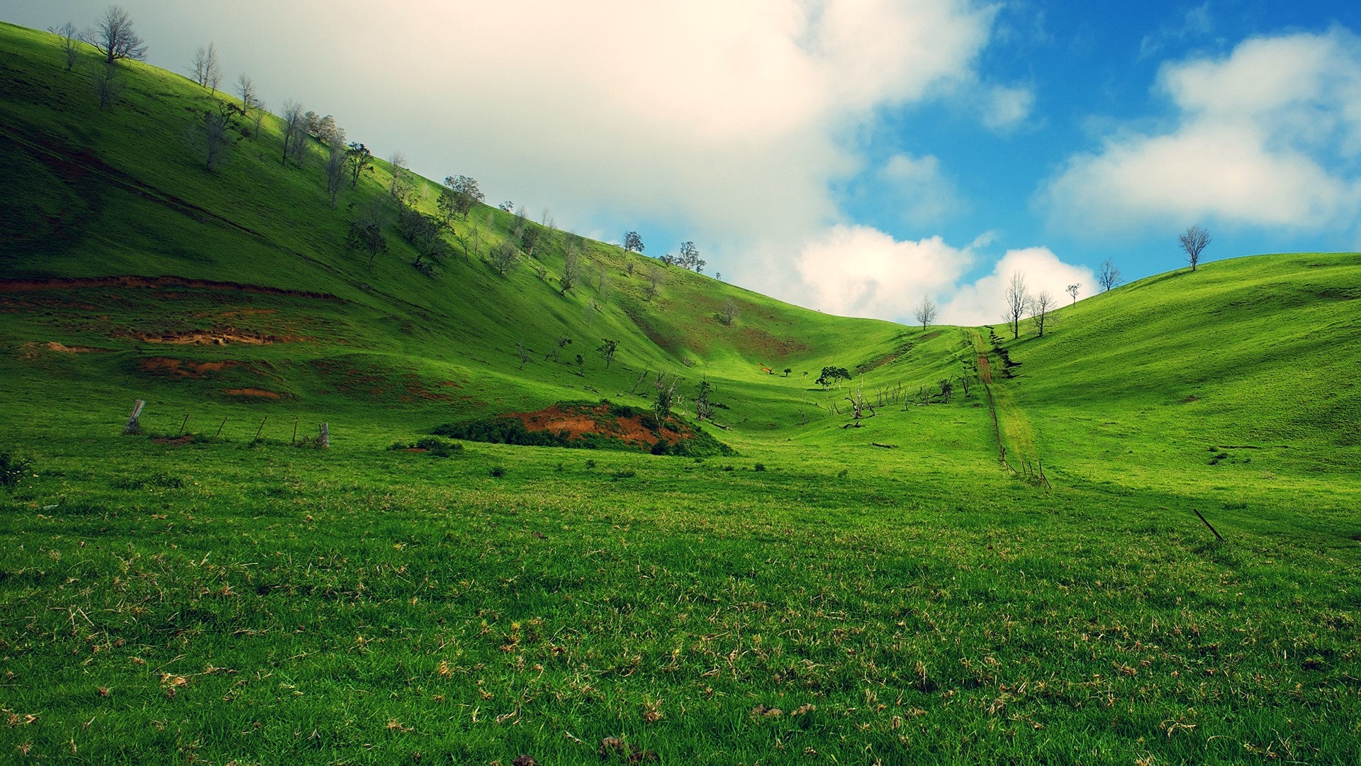 Bright Photo Of A Green Hill Hd Desktop Wallpaper , HD Wallpaper & Backgrounds