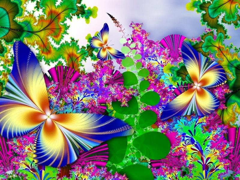Wallpaper - Background Design Of Butterfly , HD Wallpaper & Backgrounds