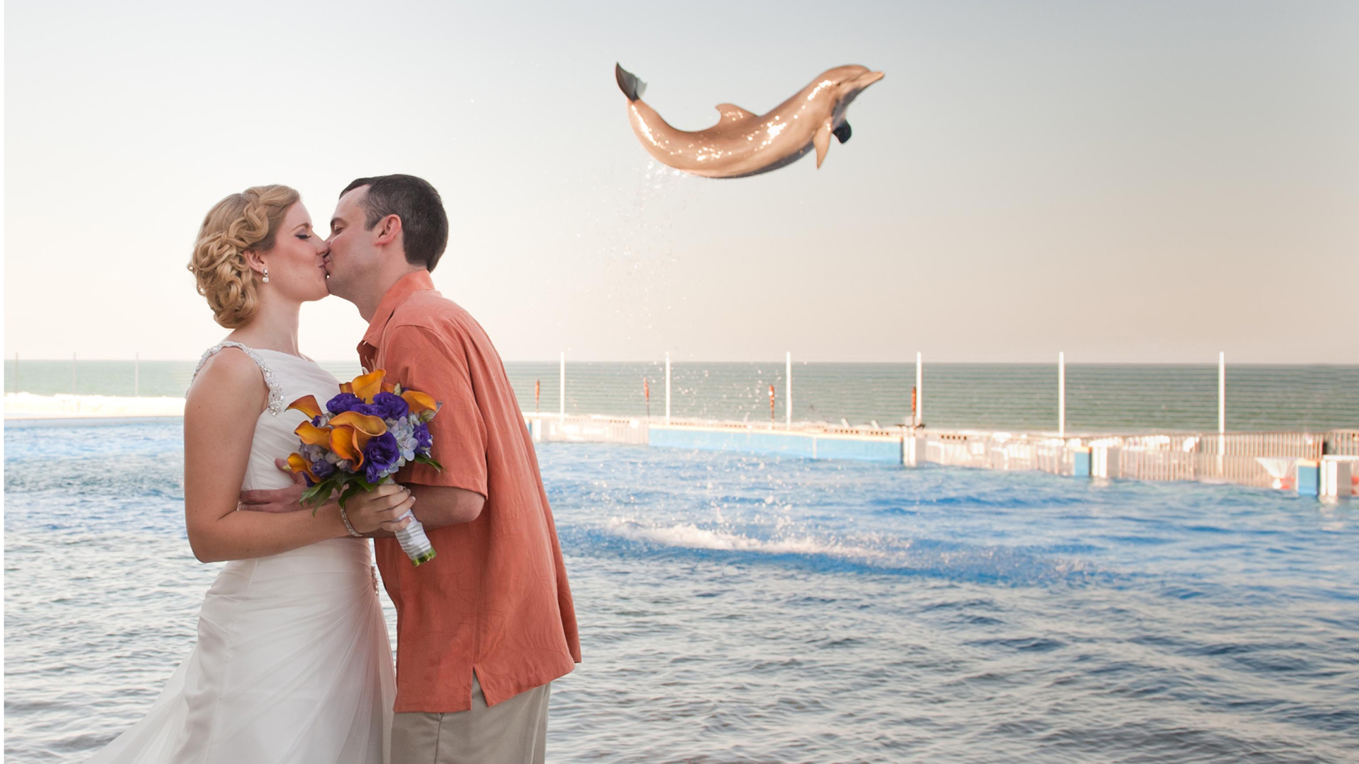 A Dolphin Photobombed A Newly Married Couple As They - Pregnant Woman Dolphin Photobomb , HD Wallpaper & Backgrounds