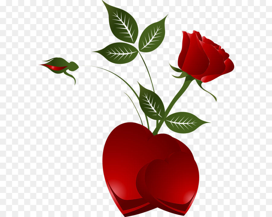 Heart, Rose, Desktop Wallpaper, Plant Png - Happy Holi To Girlfriend , HD Wallpaper & Backgrounds