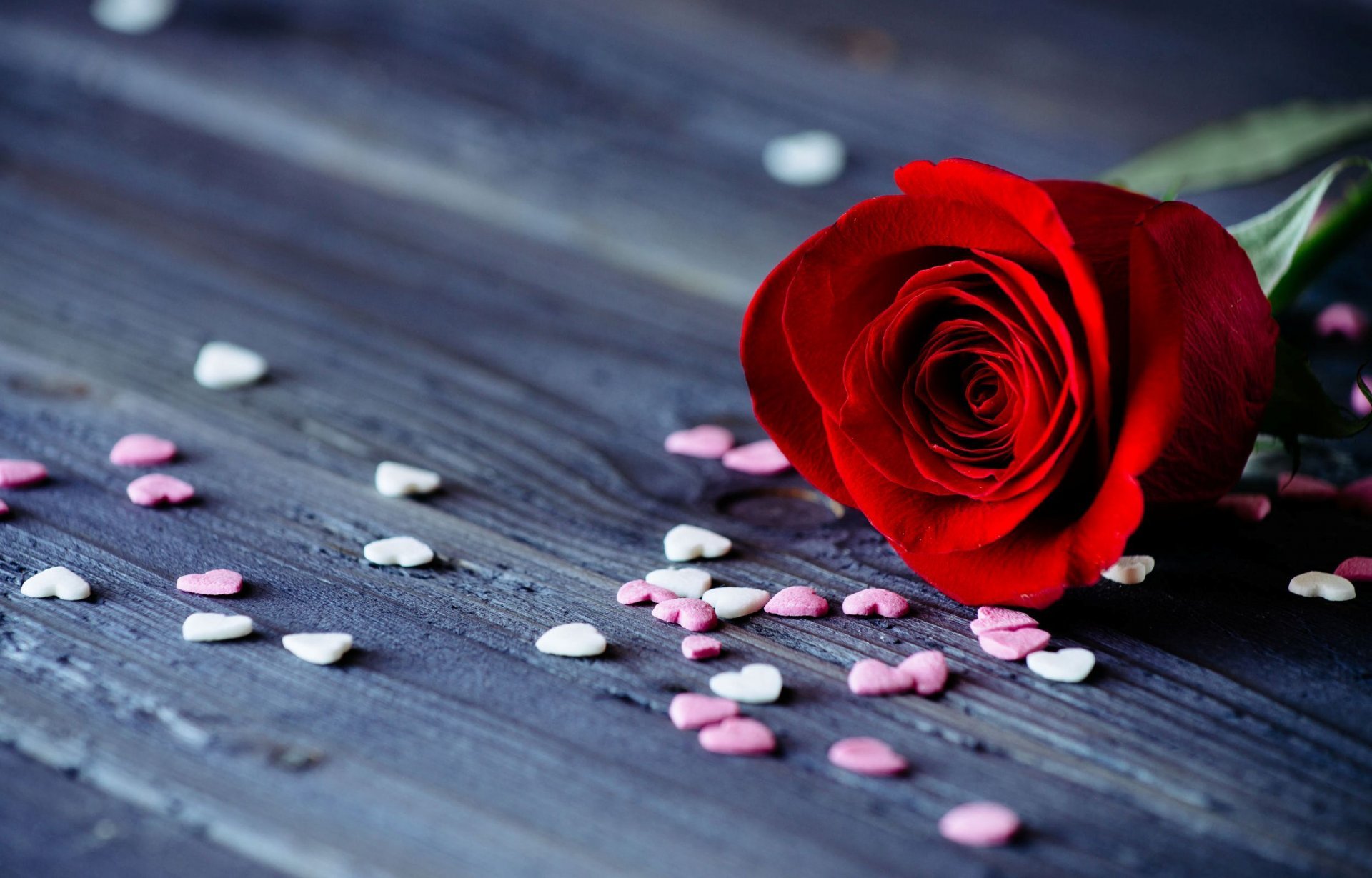 Flower Rose Red Petals Heart Date Romance Background - Rose Good Night Flowers , HD Wallpaper & Backgrounds