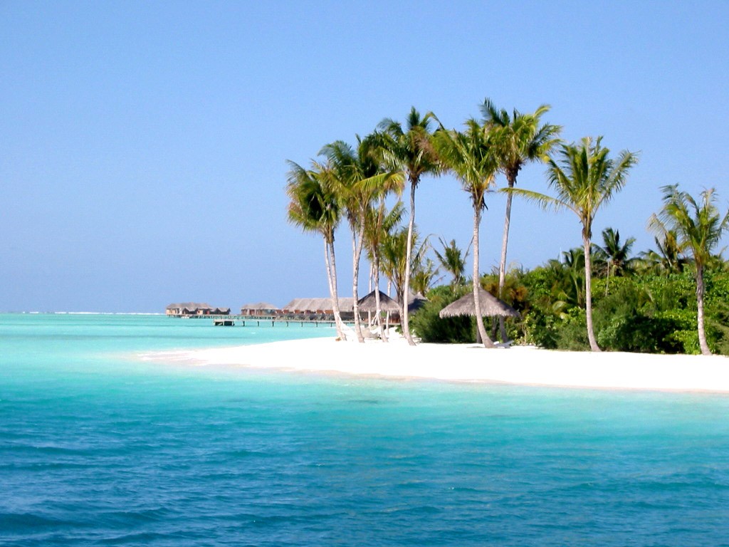 Wallpaper Free Wallpapers Free Desktop Wallpapers Hd Attalea