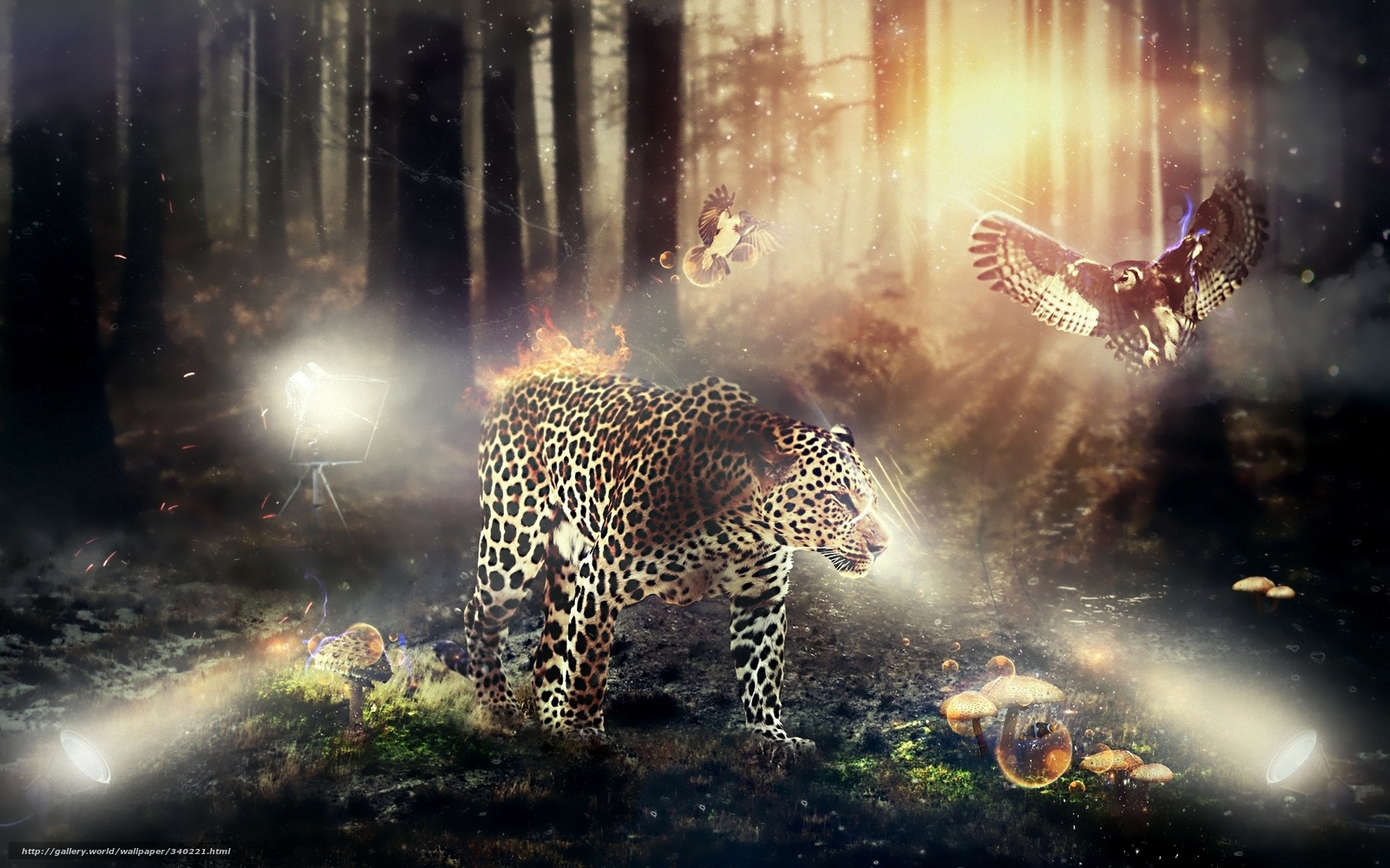 Download Wallpaper Leopard, Fauna, And Flora Free Desktop - Leopard Fantasy , HD Wallpaper & Backgrounds