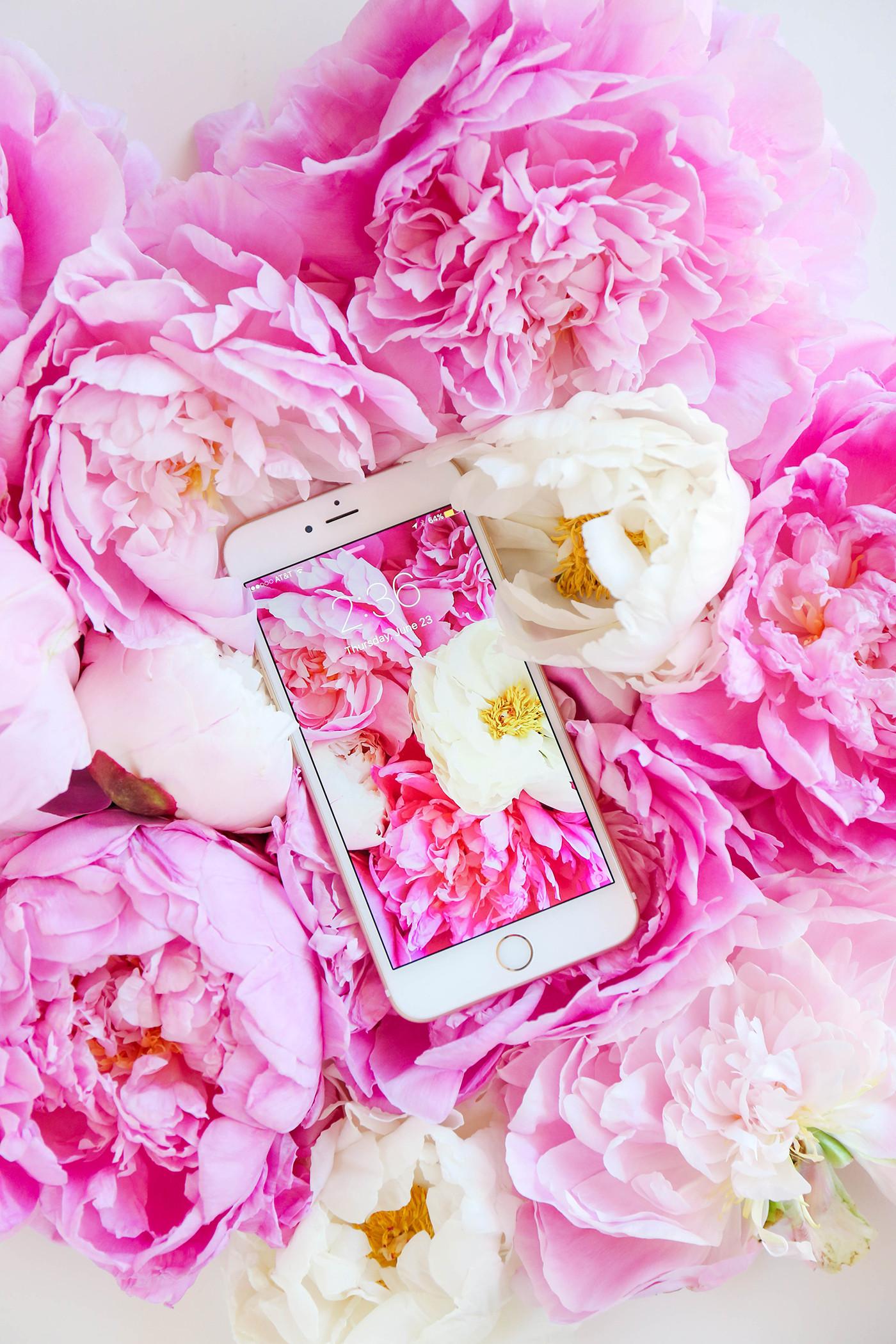 Pink Peonies Wallpaper - Peonies Wallpaper Iphone 6 , HD Wallpaper & Backgrounds