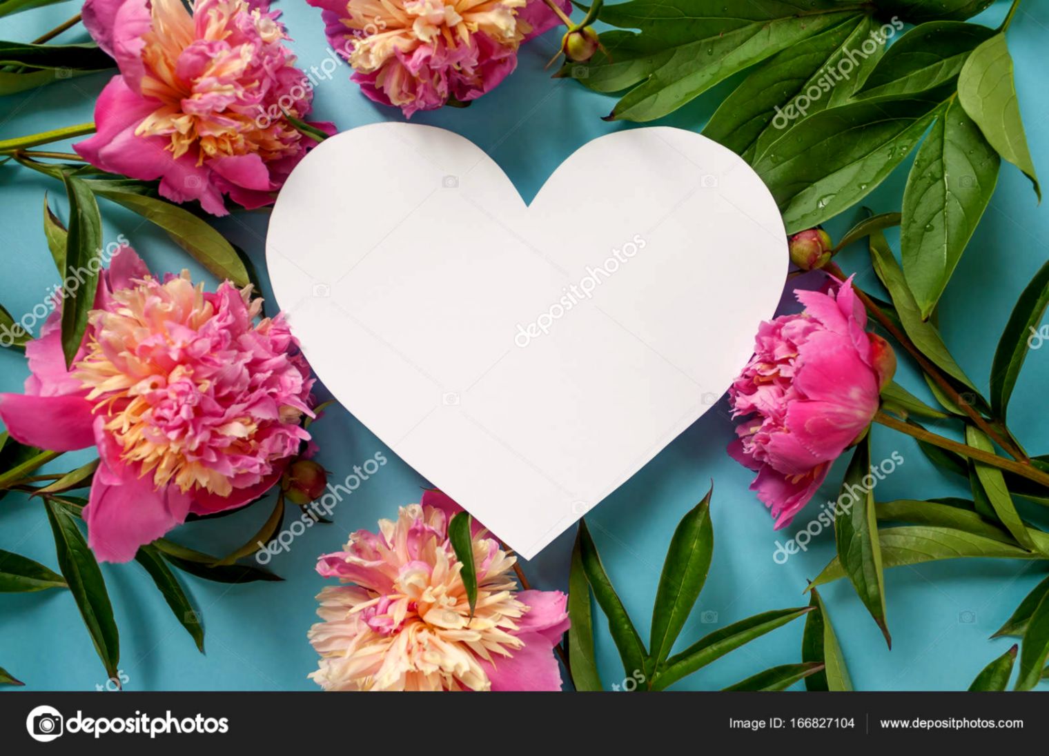 Heart Frame Pink Peonies On Blue Background Stock Photo - Heart , HD Wallpaper & Backgrounds