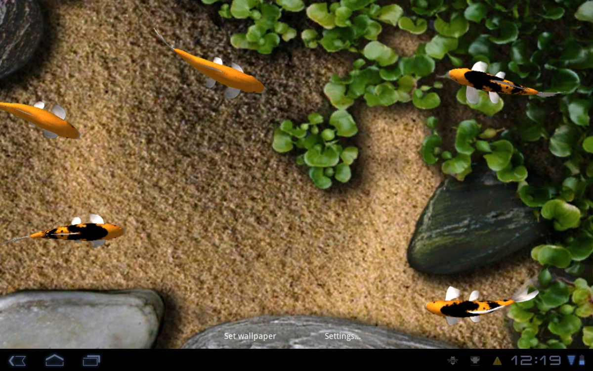 Koi Live Wallpaper - Live Wallpaper For Smartphone , HD Wallpaper & Backgrounds