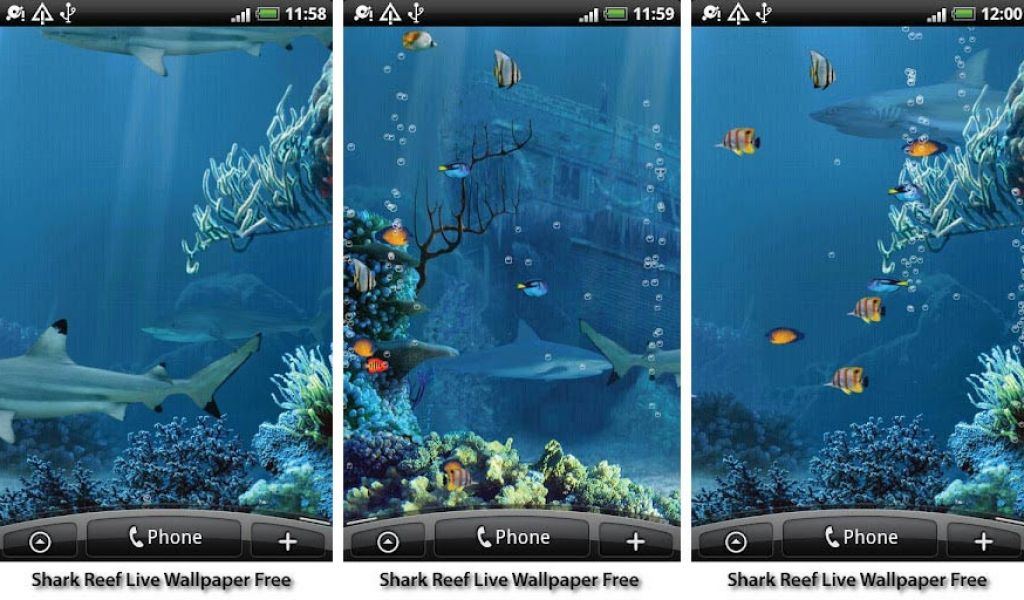 Fish Live Wallpapers For Android - Best Live Wallpapers For Android , HD Wallpaper & Backgrounds