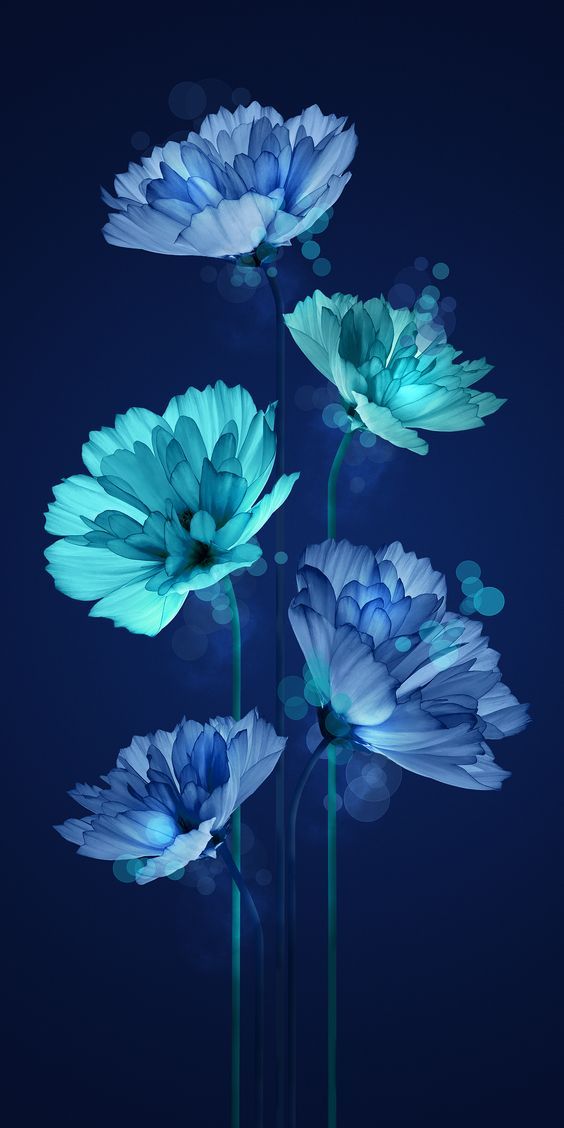 Wallpaper Hp Lengkap Terlengkap Couple Handphone - Blue Flower Wallpaper Hd For Mobile , HD Wallpaper & Backgrounds