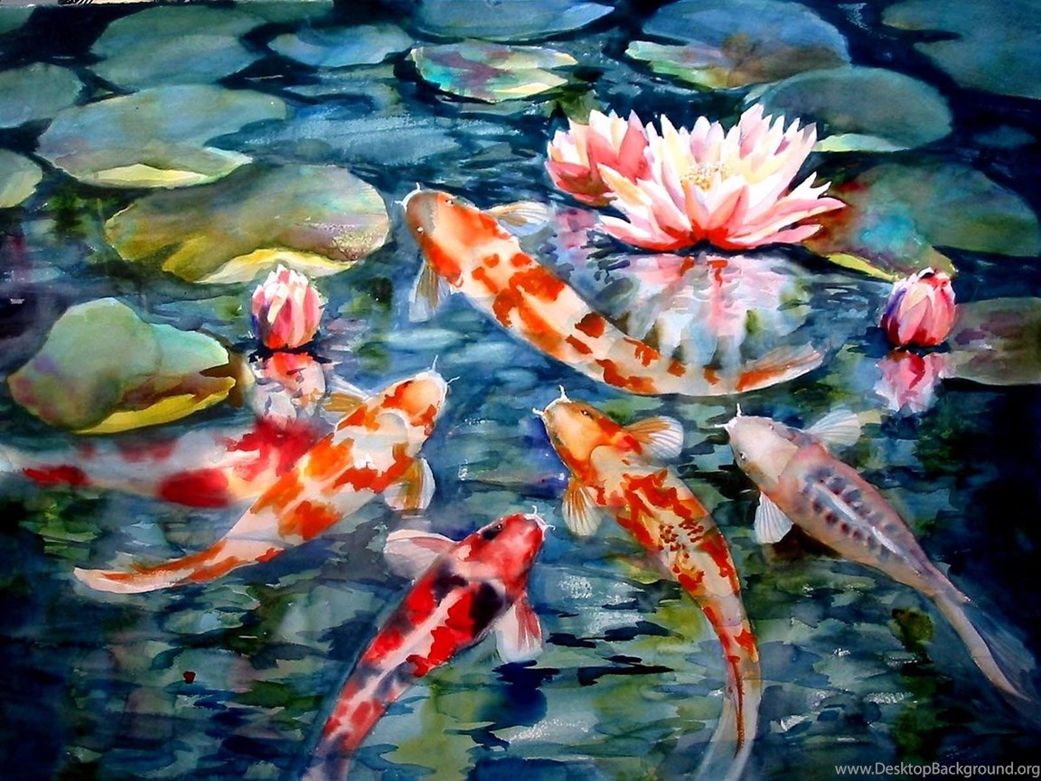 Koi Fish Live Wallpapers Android Apps And Tests Androidpit - High Resolution Koi Fish , HD Wallpaper & Backgrounds