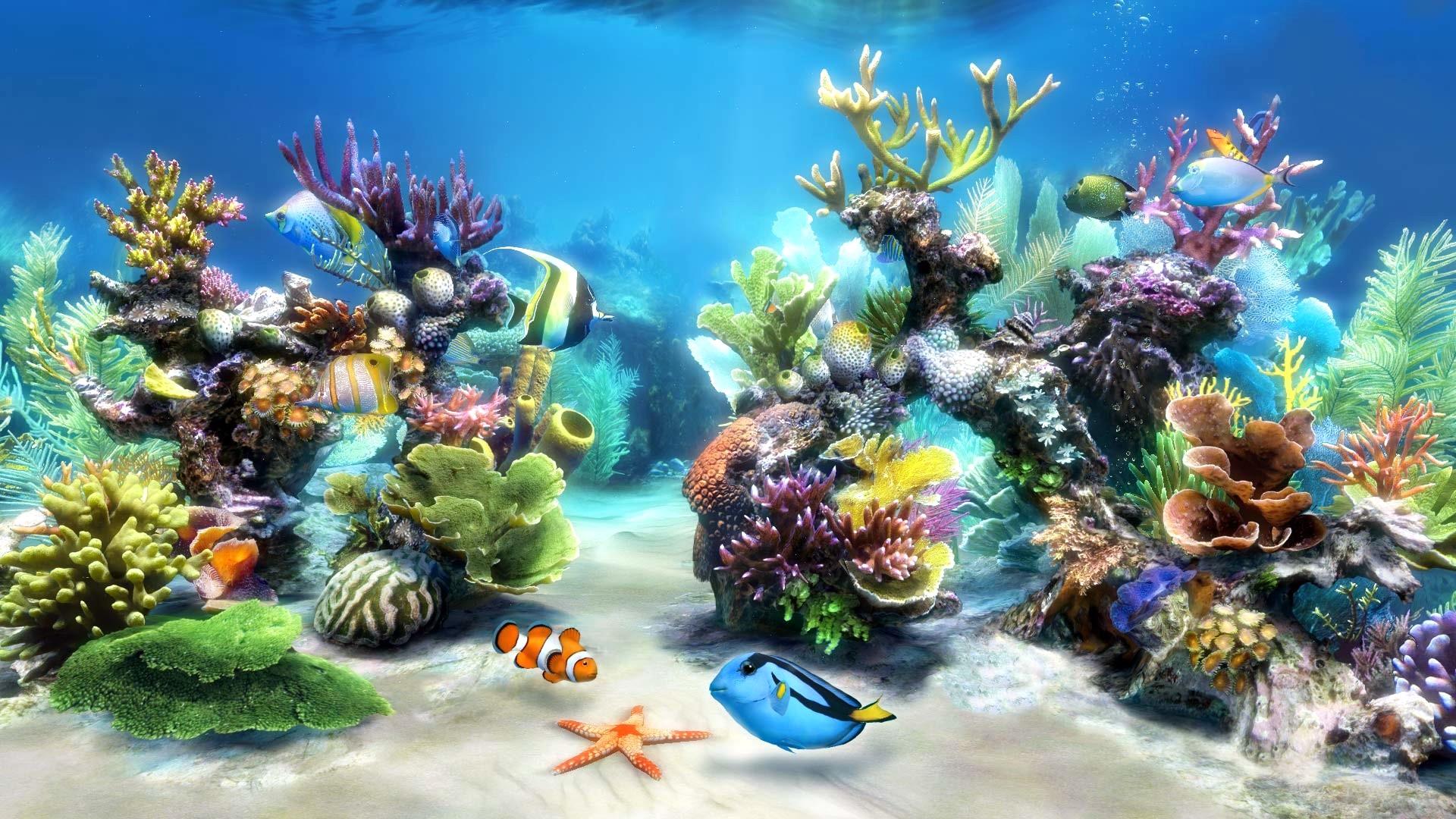 Fish Live Wallpaper Hd - Live Wallpaper Windows 7 Aquarium , HD Wallpaper & Backgrounds