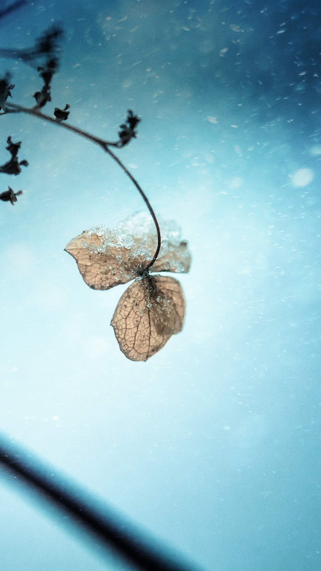 Awesome Wallpapers For Android Mobile Phones In Hd 91798 Hd