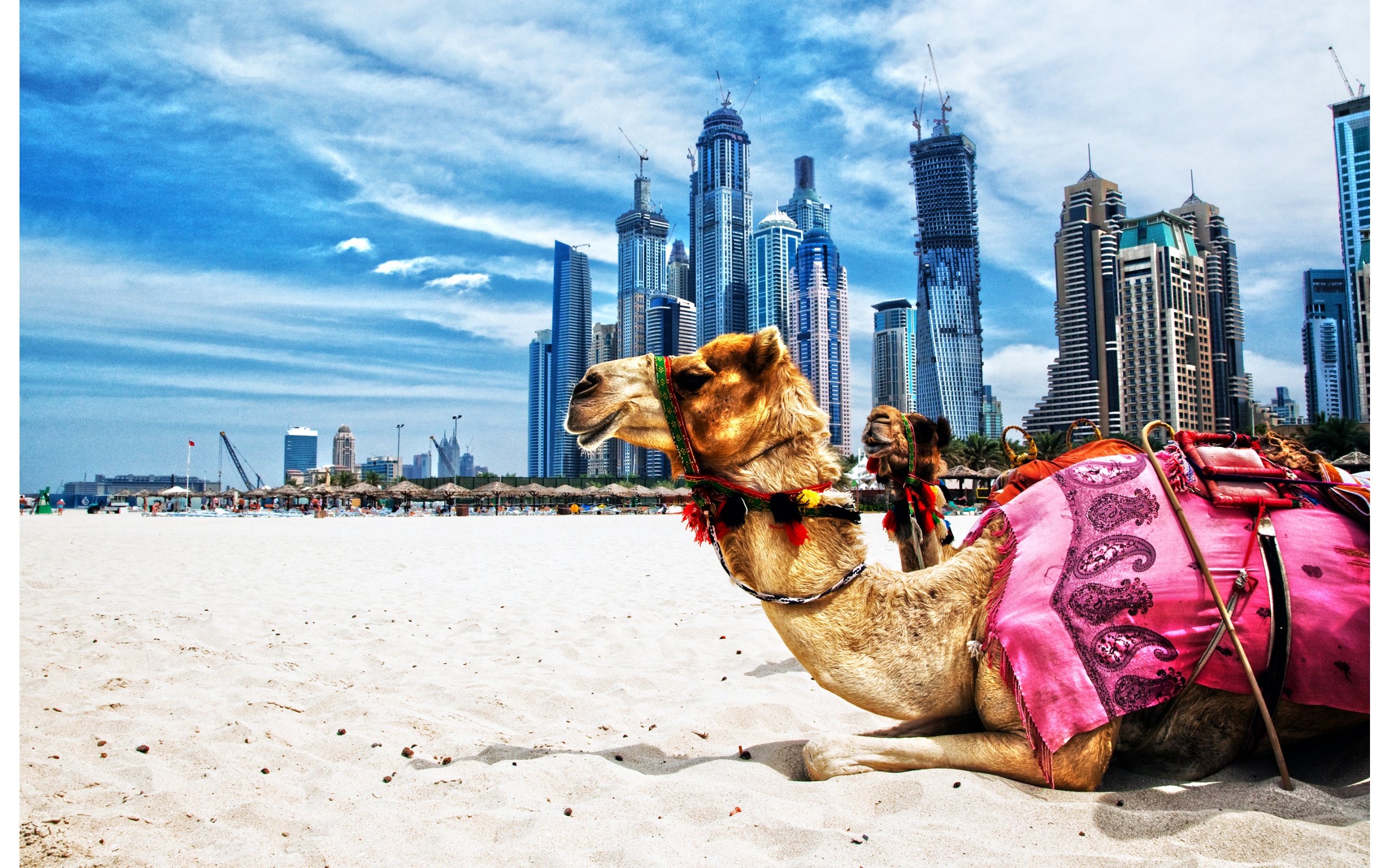Dubai Wallpapers - Manualwall - Com - Things To Do In Dubia , HD Wallpaper & Backgrounds