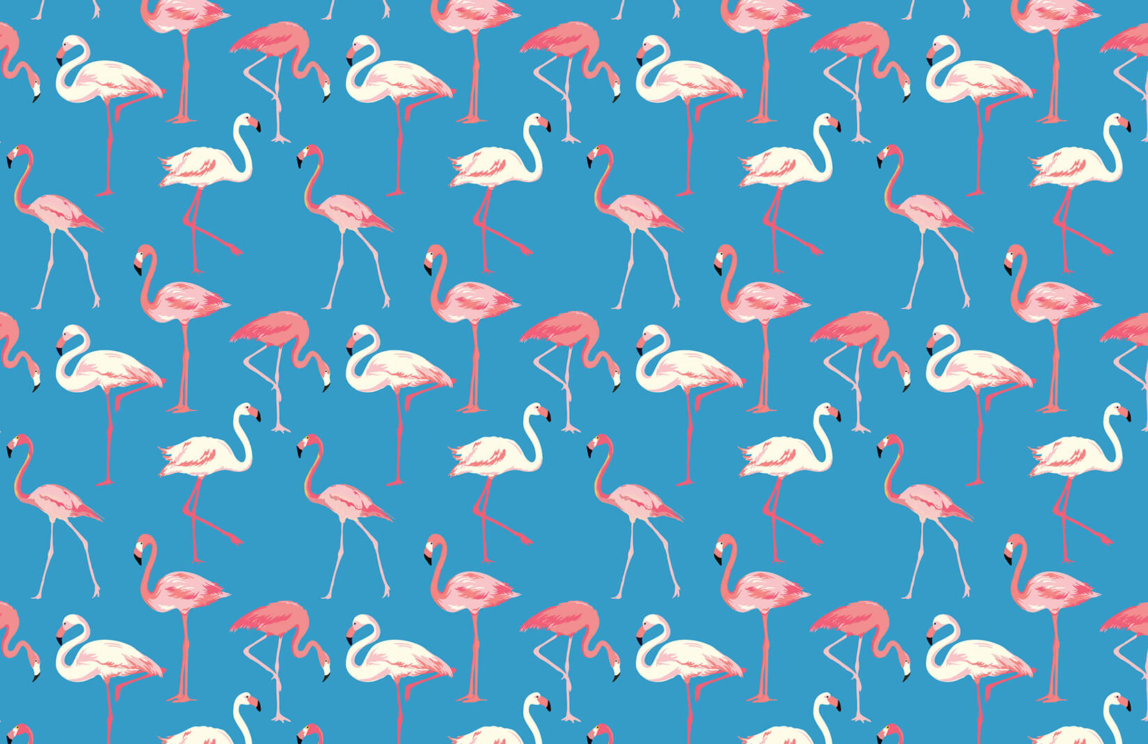 Blue And Pink Flamingo , HD Wallpaper & Backgrounds