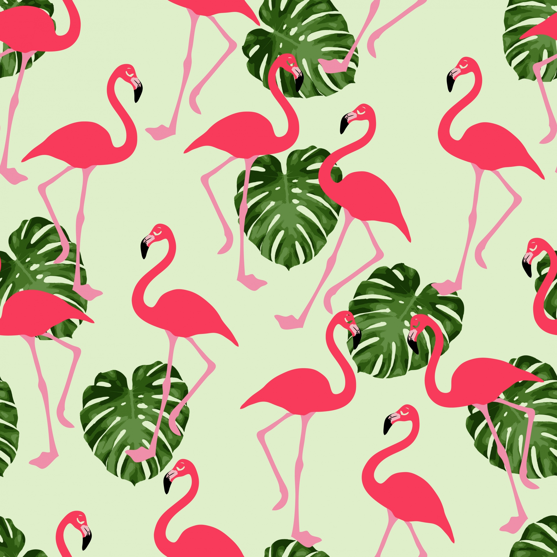 Flamingo Flamingoes Pink - Flamingo Background , HD Wallpaper & Backgrounds