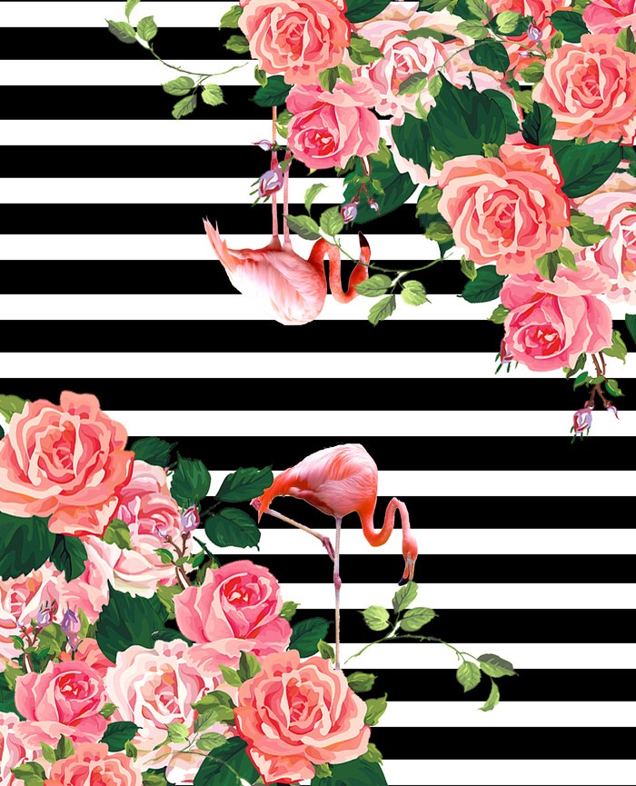Tropical Flamingo Wallpaper By Markashkenazi - Tropical Flamingo , HD Wallpaper & Backgrounds