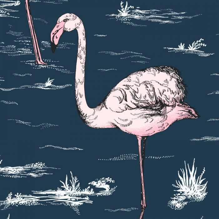 Flamingo Wallpaper - Cole And Son Flamingo , HD Wallpaper & Backgrounds