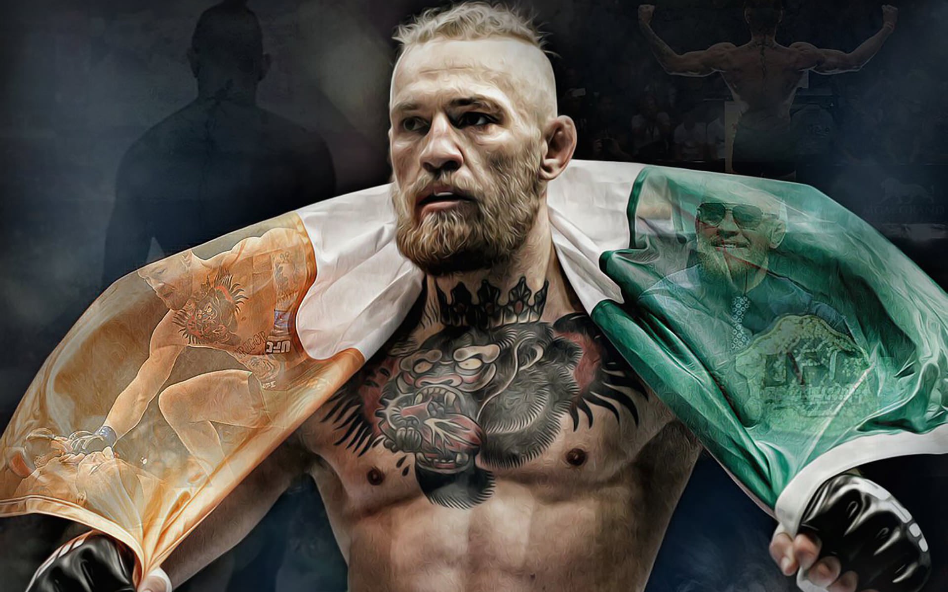 Conor Mcgregor Wallpapers Hd - Conor Mcgregor , HD Wallpaper & Backgrounds