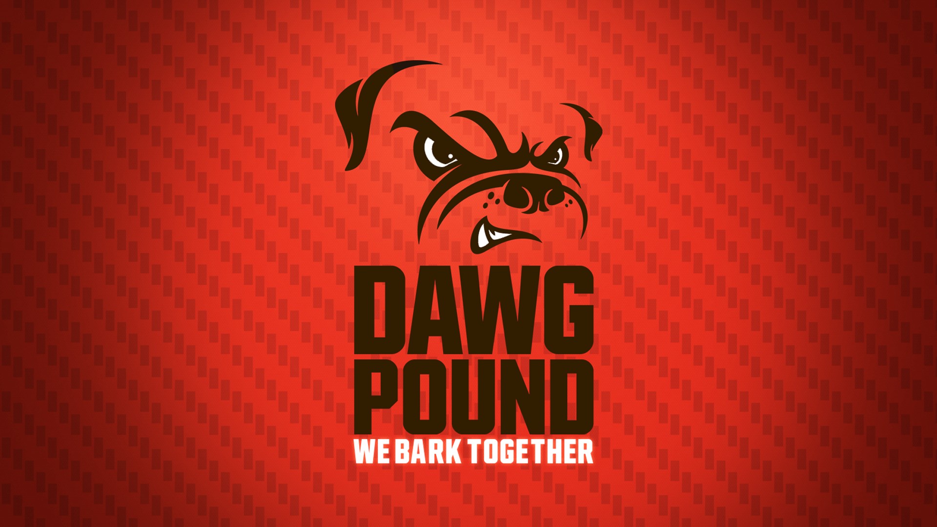 Start Download - Dawg Pound Hoodie , HD Wallpaper & Backgrounds