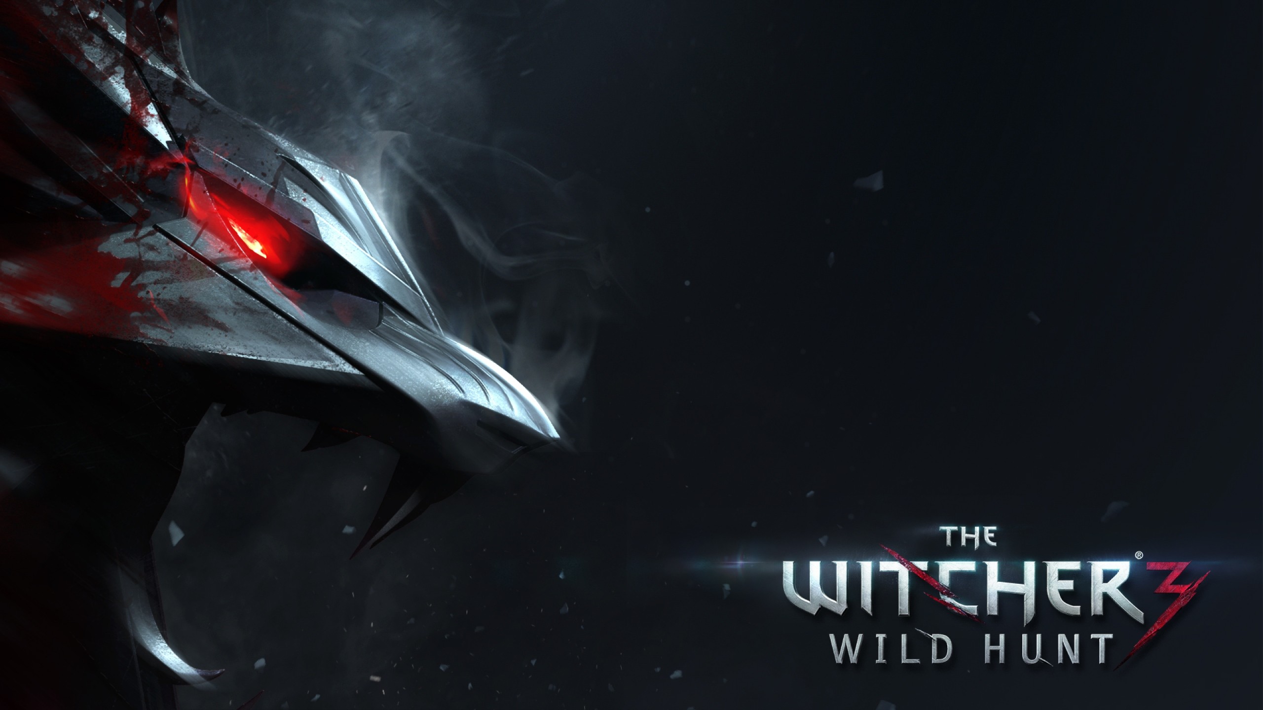 Wallpaper The Witcher 3 Wild Hunt, The Witcher, Cd - Witcher 3 Wild Hunt Hd , HD Wallpaper & Backgrounds