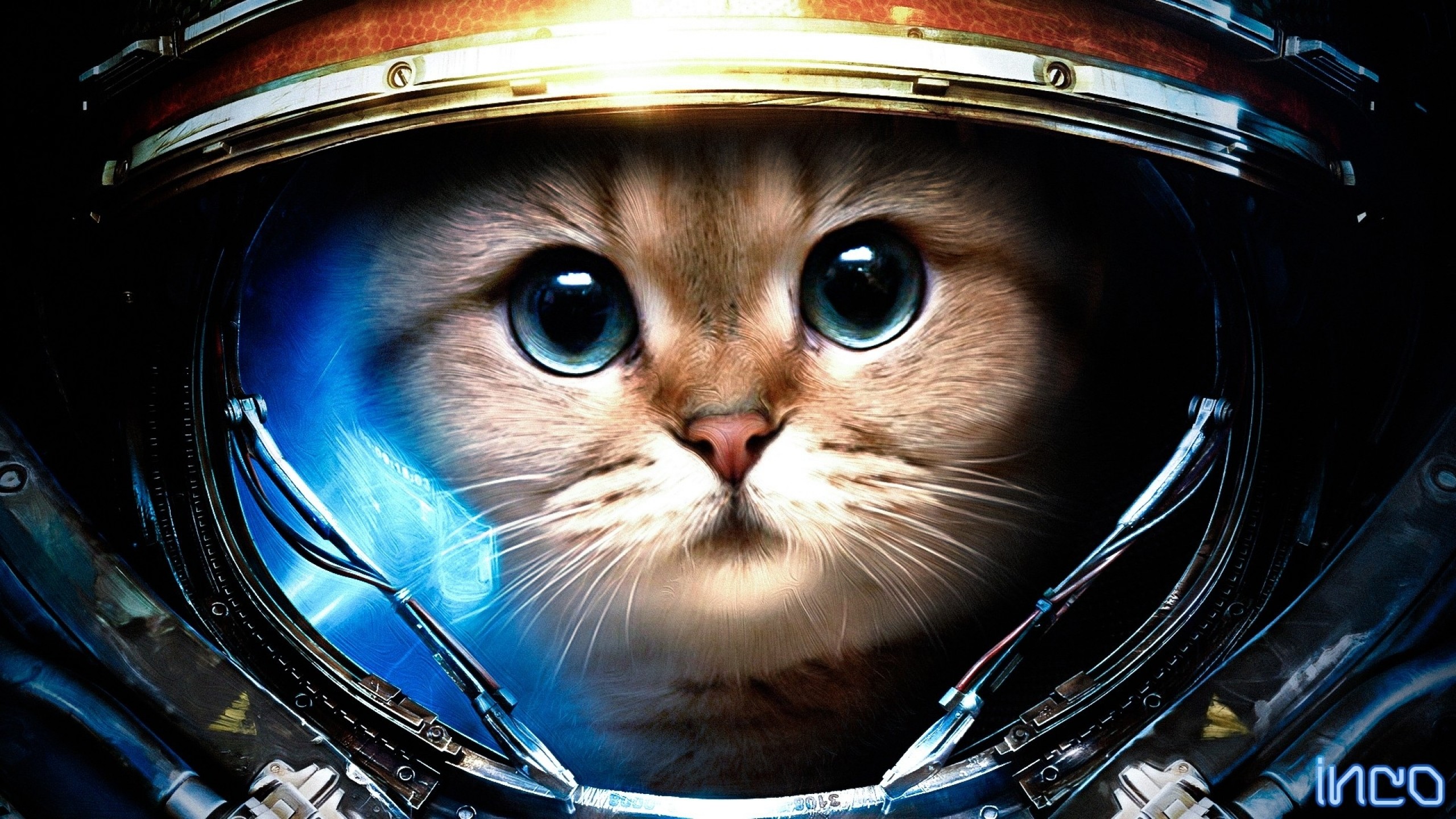 Games / Mass Effect - Cats In Space , HD Wallpaper & Backgrounds