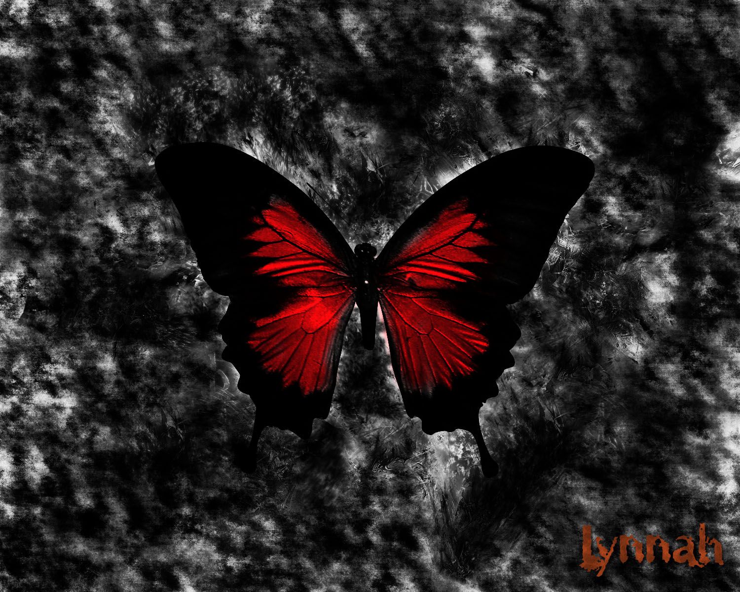 Goth Fantasy Art - Gothic Butterfly , HD Wallpaper & Backgrounds