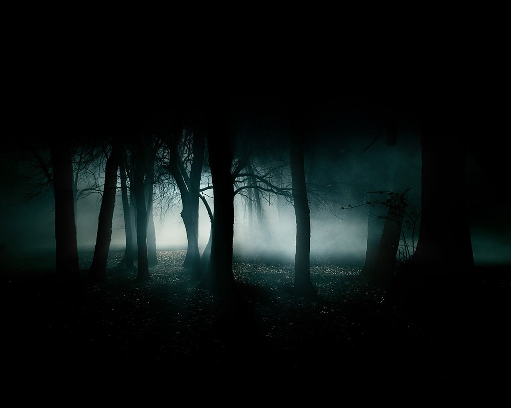 Horror Forest Background Hd , HD Wallpaper & Backgrounds