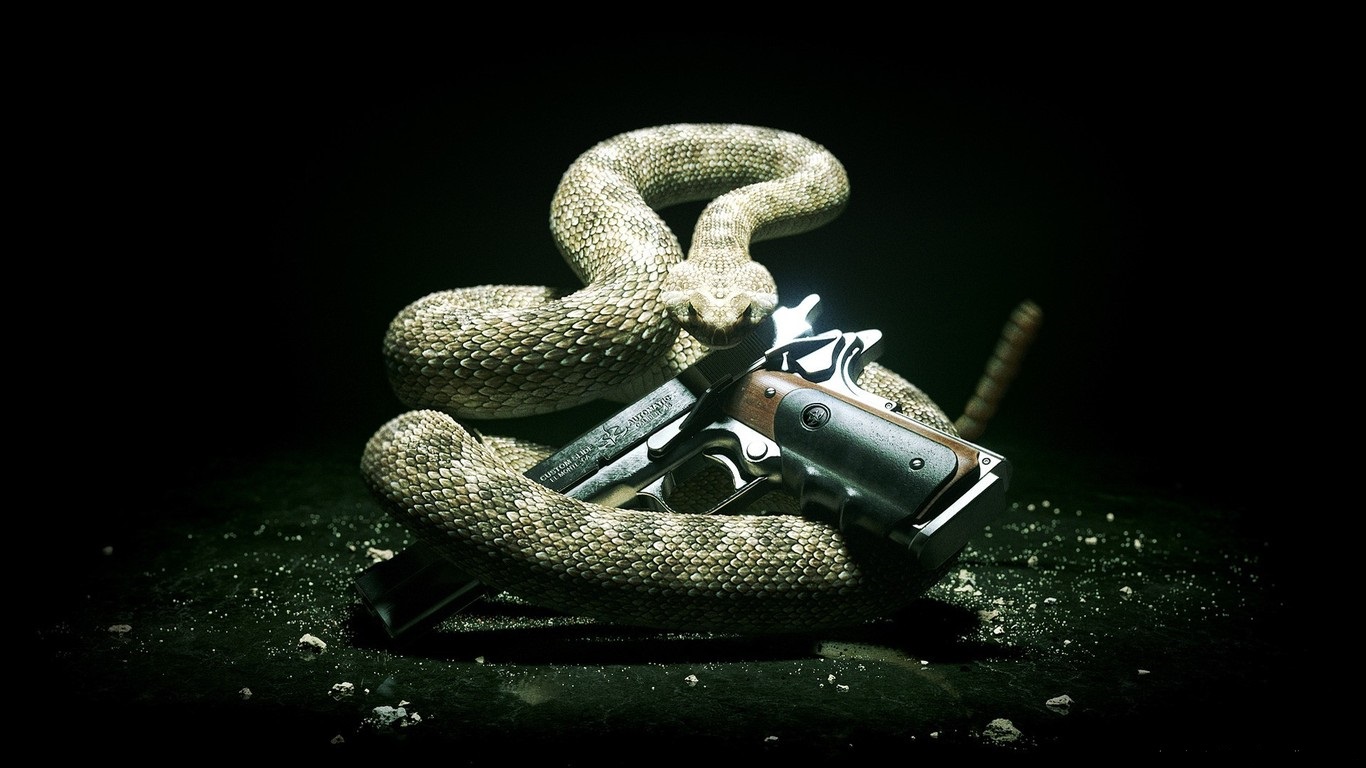 Snake And Gun Free Hd Wallpapers For Desktop - Dont Tread On Me , HD Wallpaper & Backgrounds