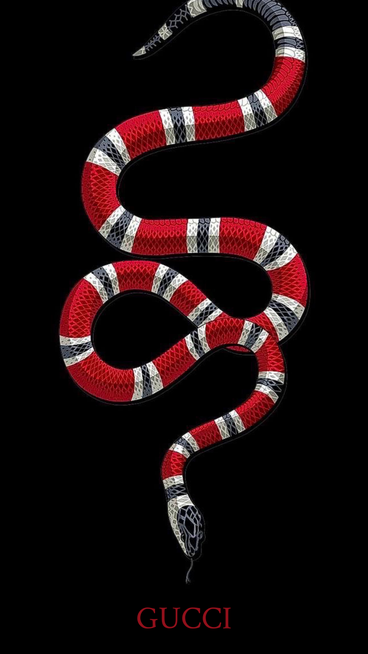 Gucci Snake Wallpaper - Gucci Wallpaper Iphone , HD Wallpaper & Backgrounds