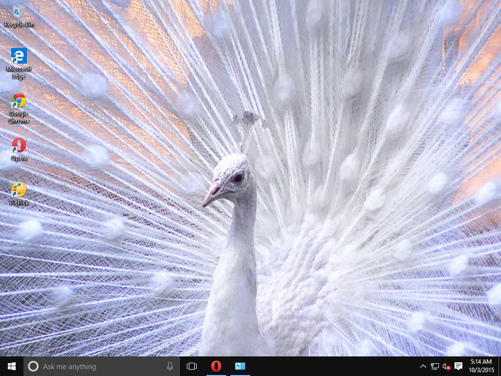 Best Wallpaper Themes - Peacock White Colour , HD Wallpaper & Backgrounds