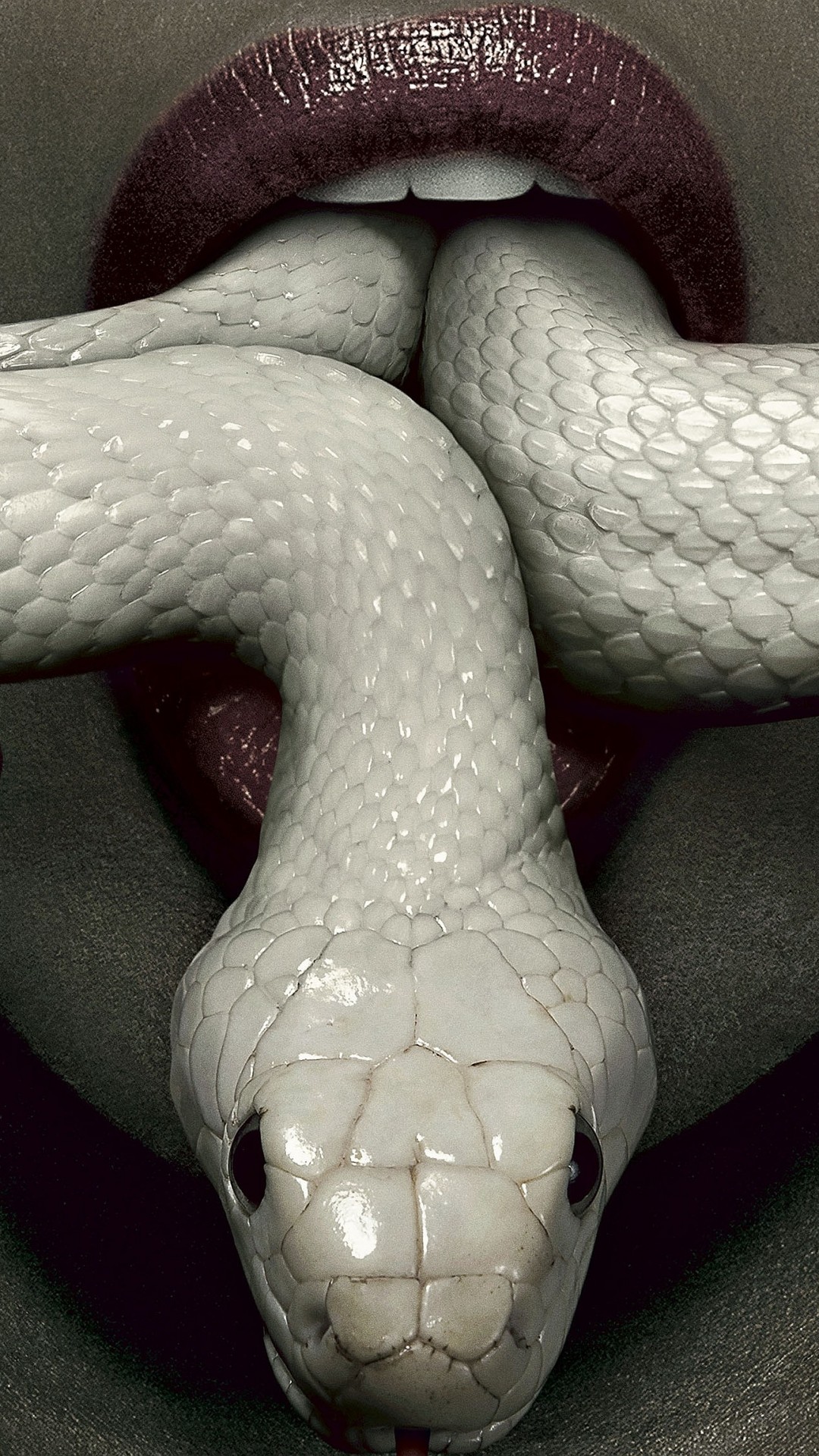 Iphone 7 Plus Snake Wallpaper - American Horror Story Coven Snake , HD Wallpaper & Backgrounds