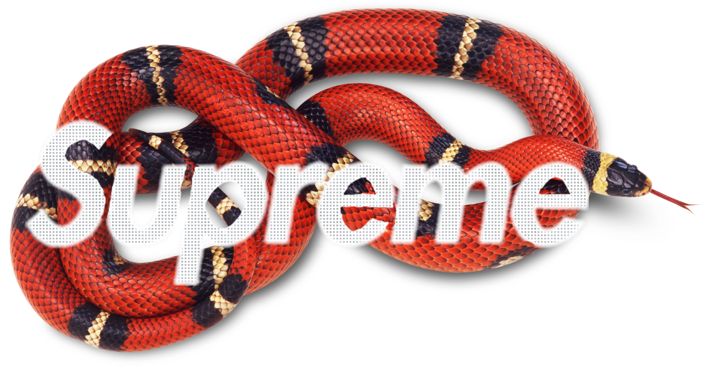 Gucci Snake Png Gallery - Supreme X Gucci Png , HD Wallpaper & Backgrounds