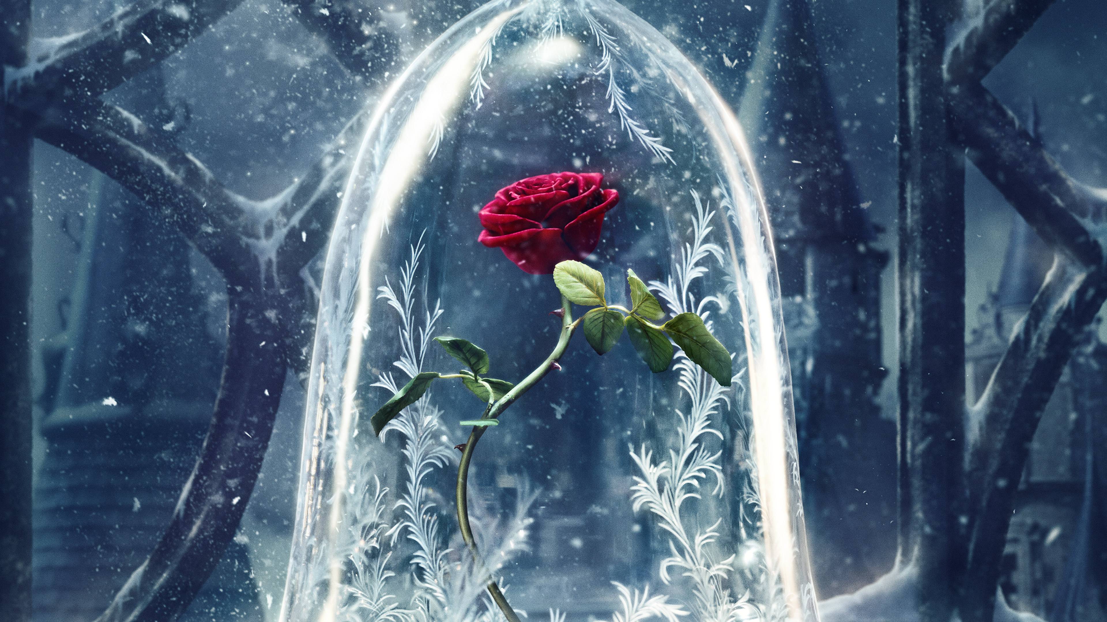 Beauty And The Beast Original 4k - Rose From Beauty And The Beast 2017 , HD Wallpaper & Backgrounds