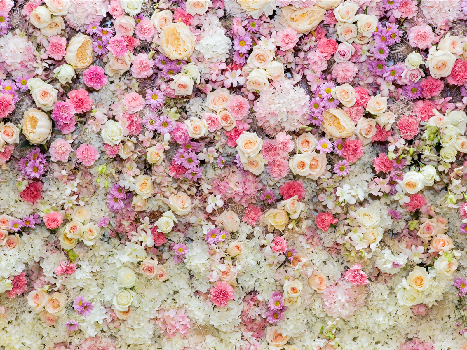 5 Kb, V - Bunch Of Flower Designs , HD Wallpaper & Backgrounds