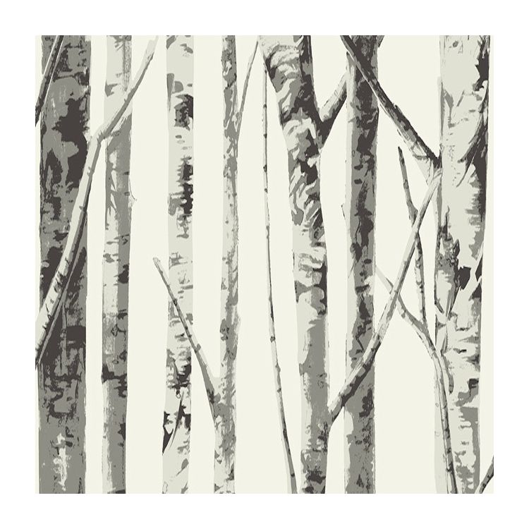 Eco Chic Ii - Birch Tree , HD Wallpaper & Backgrounds