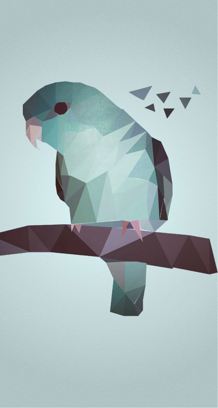 1000 Images About Tumblr On Pinterest - Bird , HD Wallpaper & Backgrounds