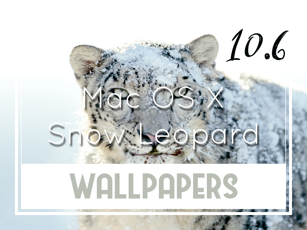 Mac Os X V10 - Mac Os X Snow Leopard Disc , HD Wallpaper & Backgrounds