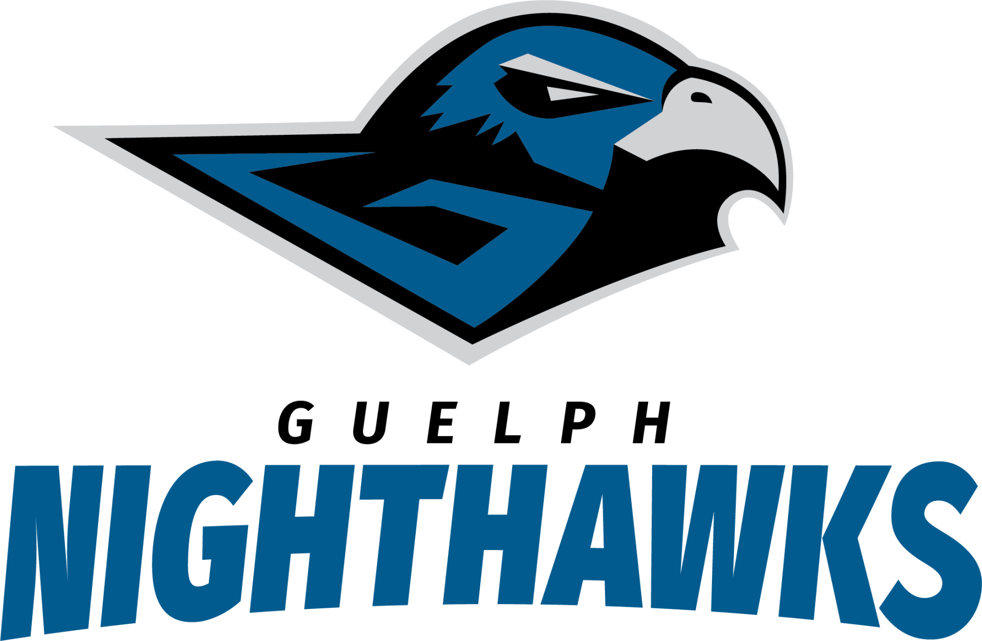 Guelph Nighthawks , HD Wallpaper & Backgrounds
