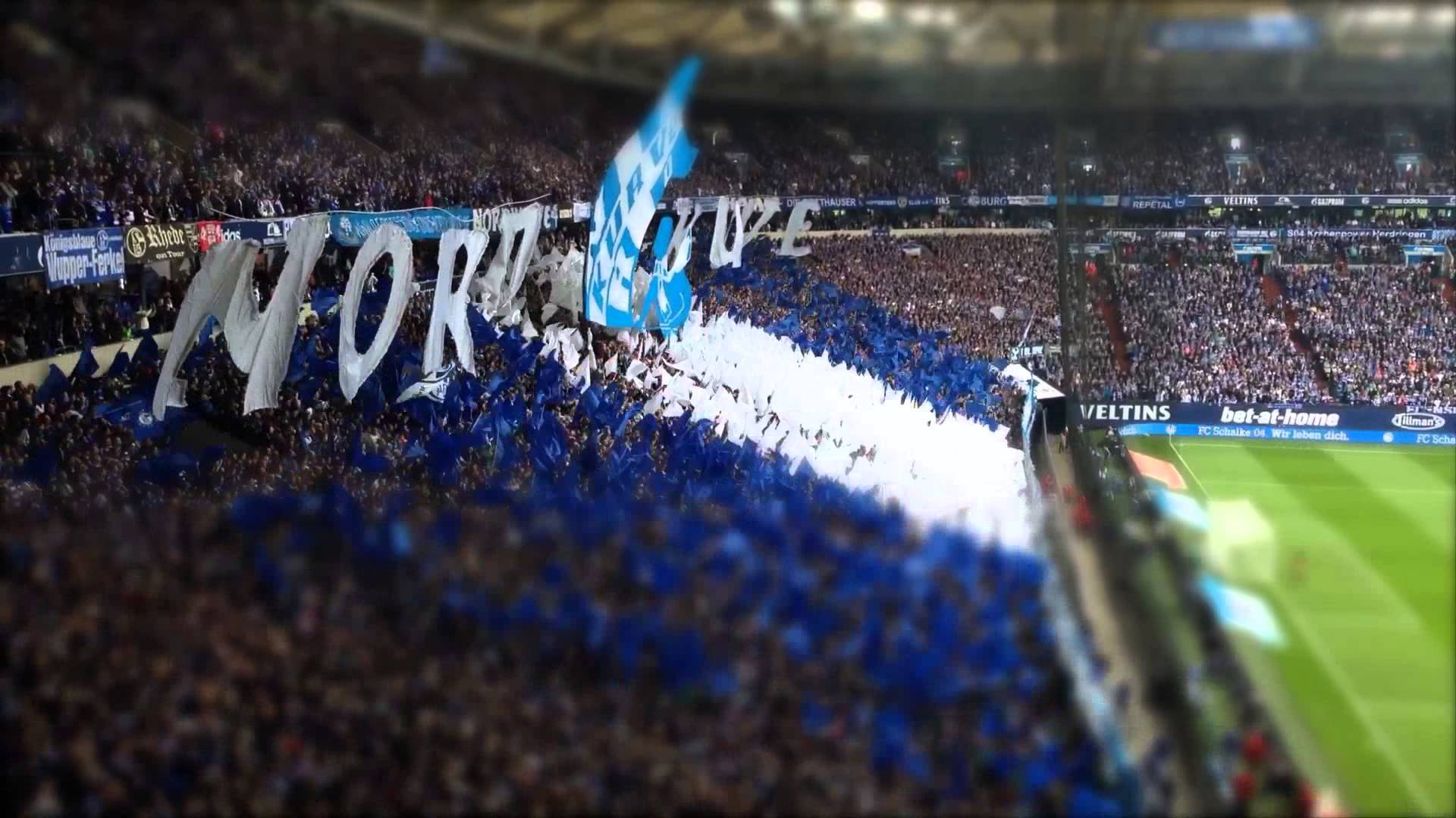 Schalke Ultras Wallpaper - Soccer-specific Stadium , HD Wallpaper & Backgrounds