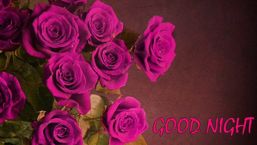 Good Night Colourful Pink Roses Hd Wallpapers Rose Good Night