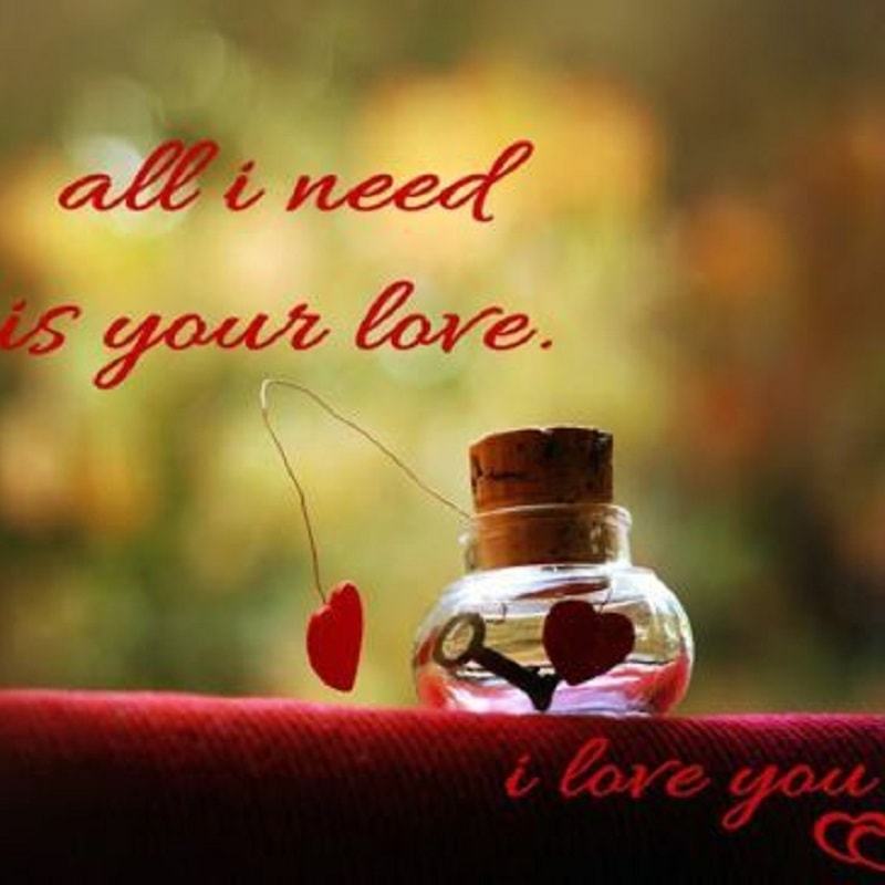 Beautiful Love Images For Whatsapp Dp - Insan Sevdiği Kadar Affeder , HD Wallpaper & Backgrounds