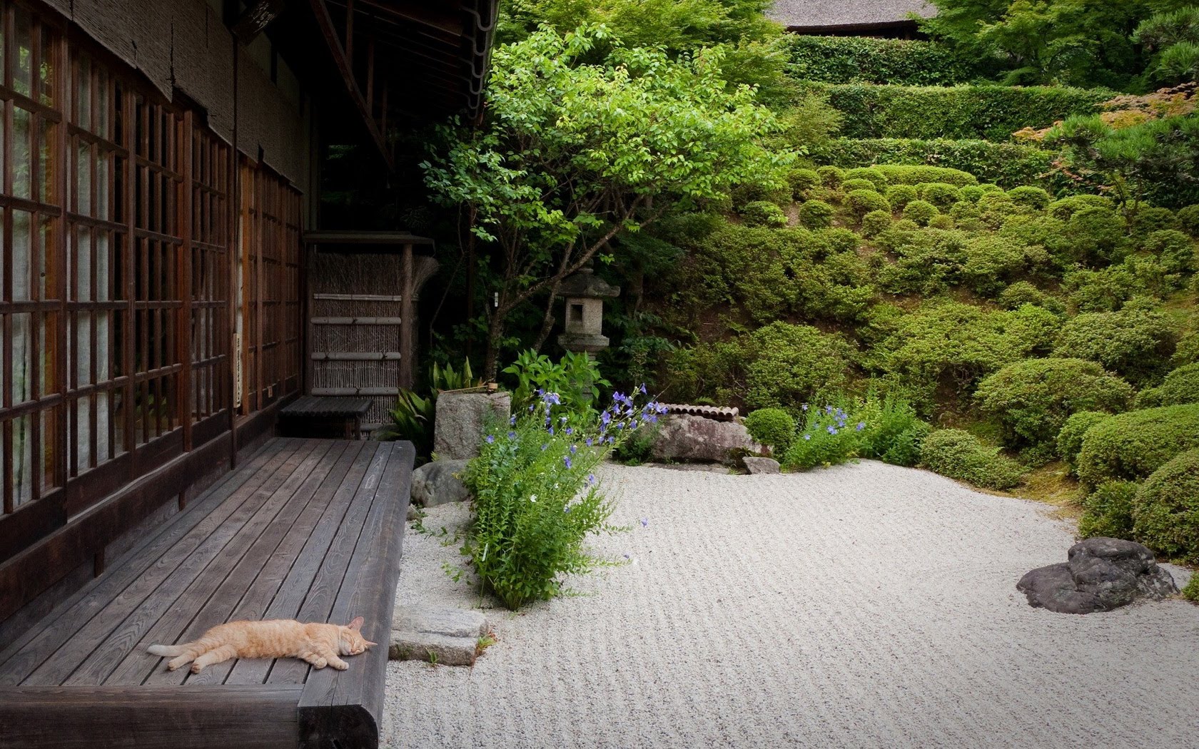 Zen Garden Wallpapers Desktop Background - Japanese Rock Garden , HD Wallpaper & Backgrounds