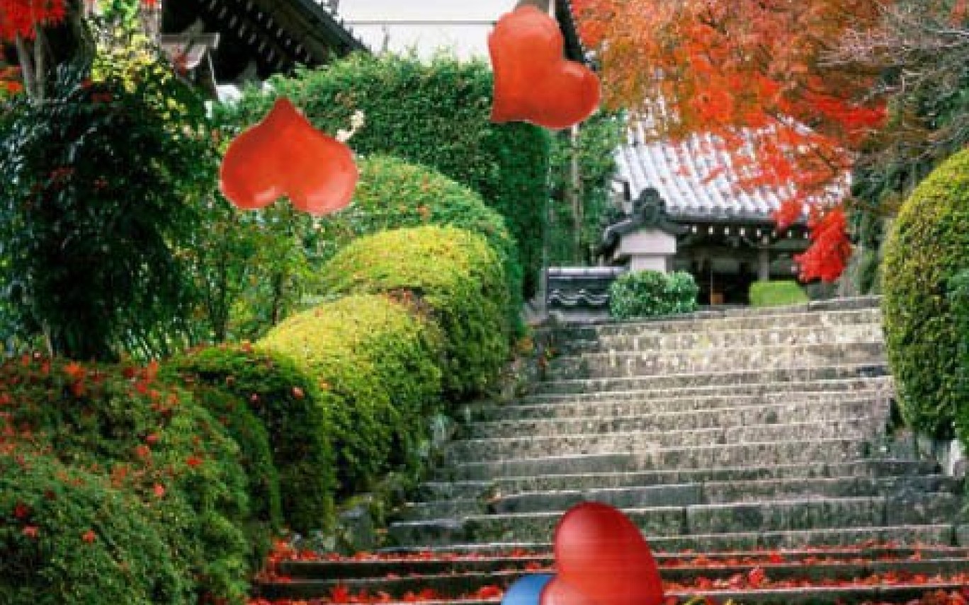 Japanese Zen Garden Live Wallpaper Best Free Android - Sydney Harbour Bridge , HD Wallpaper & Backgrounds