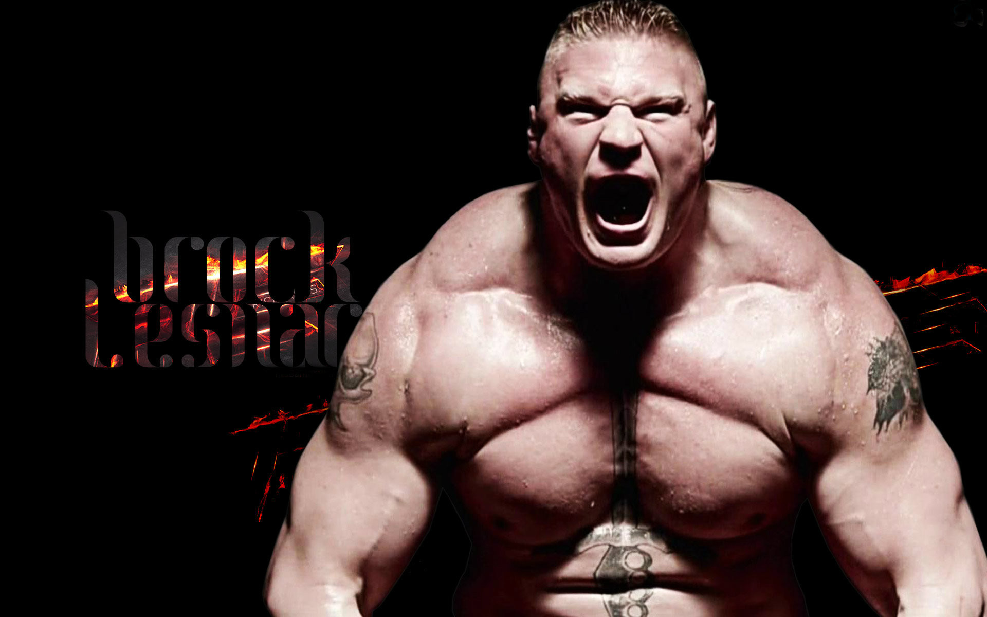 Stone Cold Full Hd Wallpaper Download The Best Hd Wallpaper - Brock Lesnar Hd , HD Wallpaper & Backgrounds