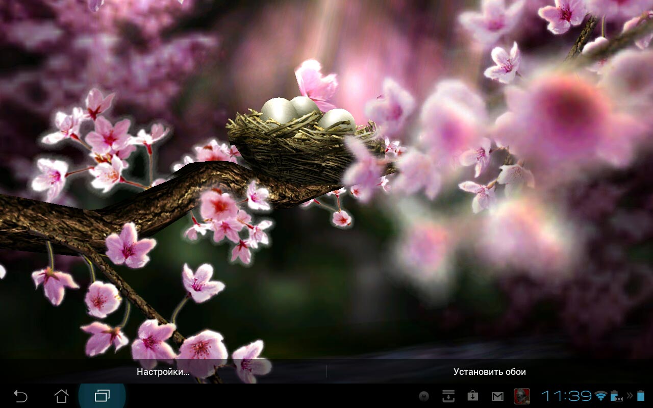 Season Zen Hd Live Wallpaper - Season Zen Hd , HD Wallpaper & Backgrounds