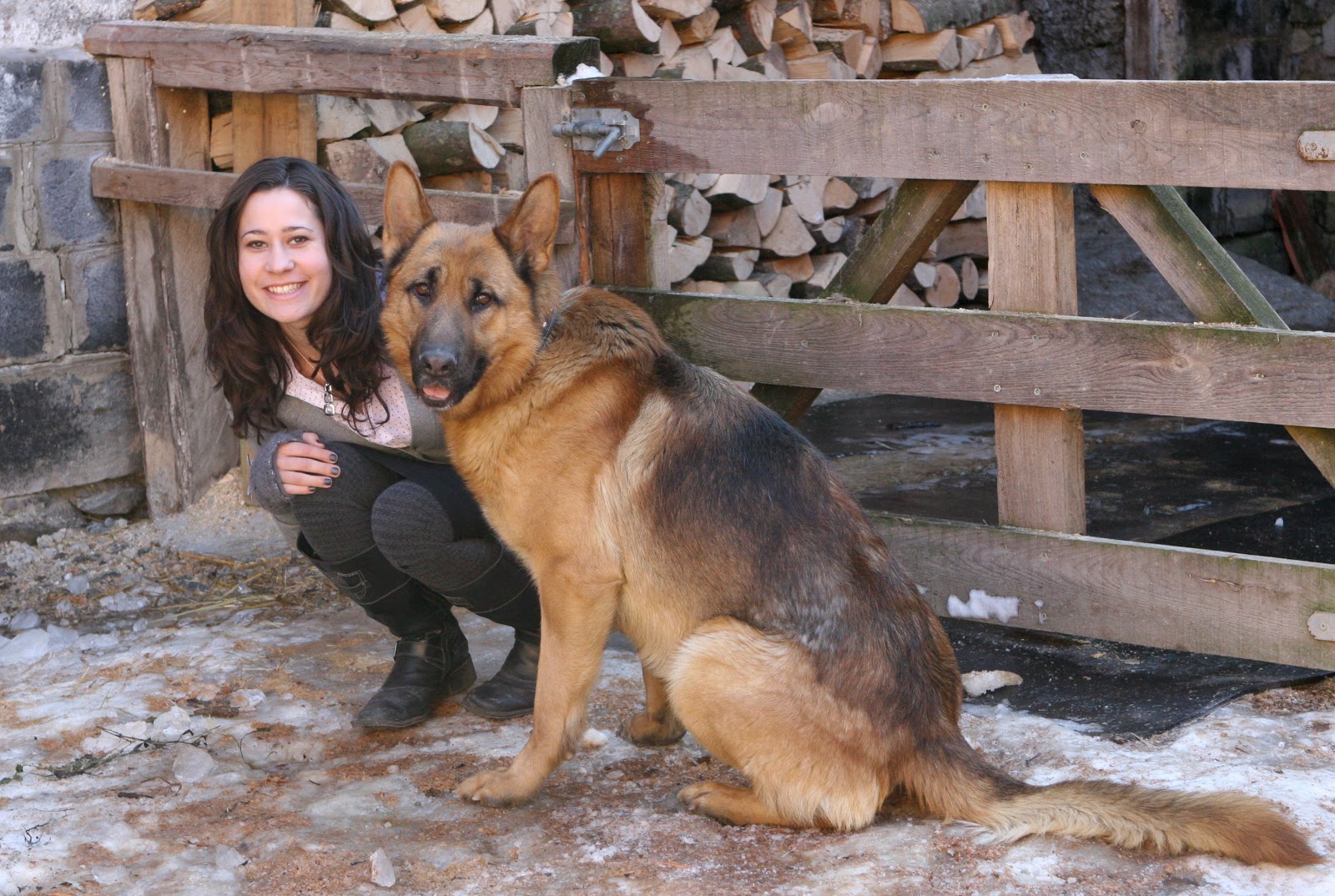 Me And My German Shepherd , HD Wallpaper & Backgrounds