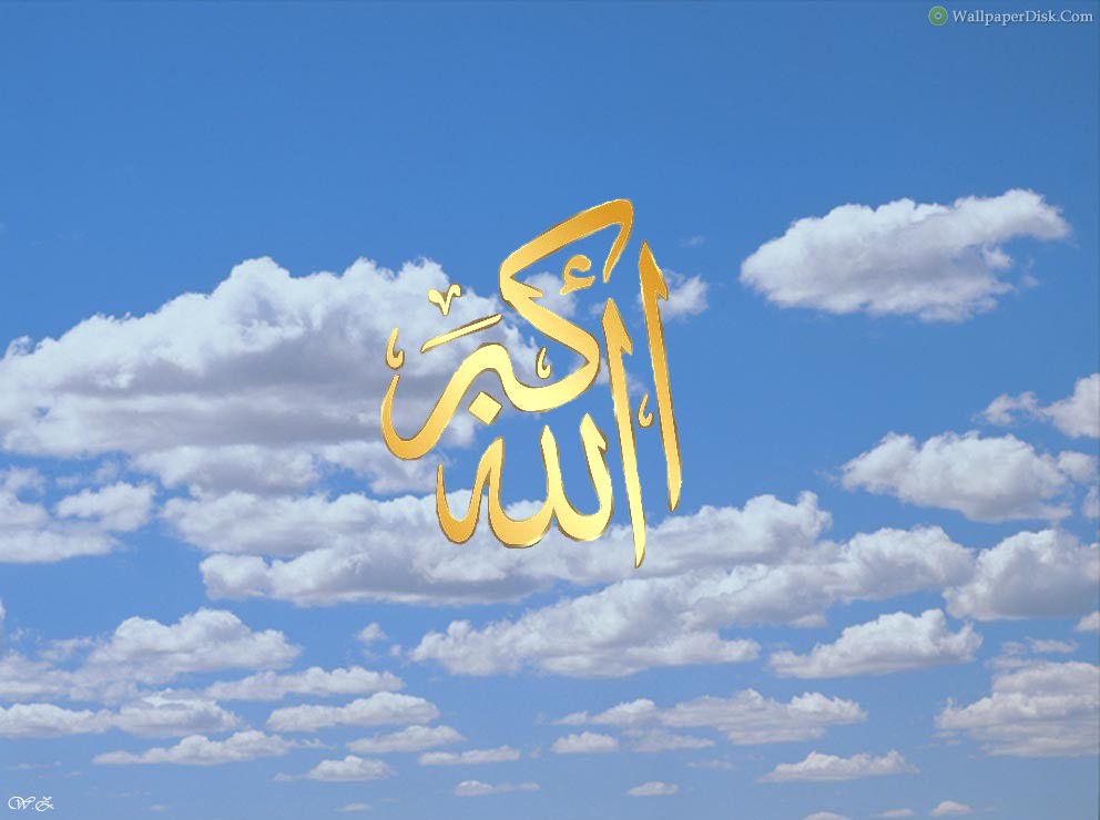 Allah - Bobby Possumcod Gif , HD Wallpaper & Backgrounds