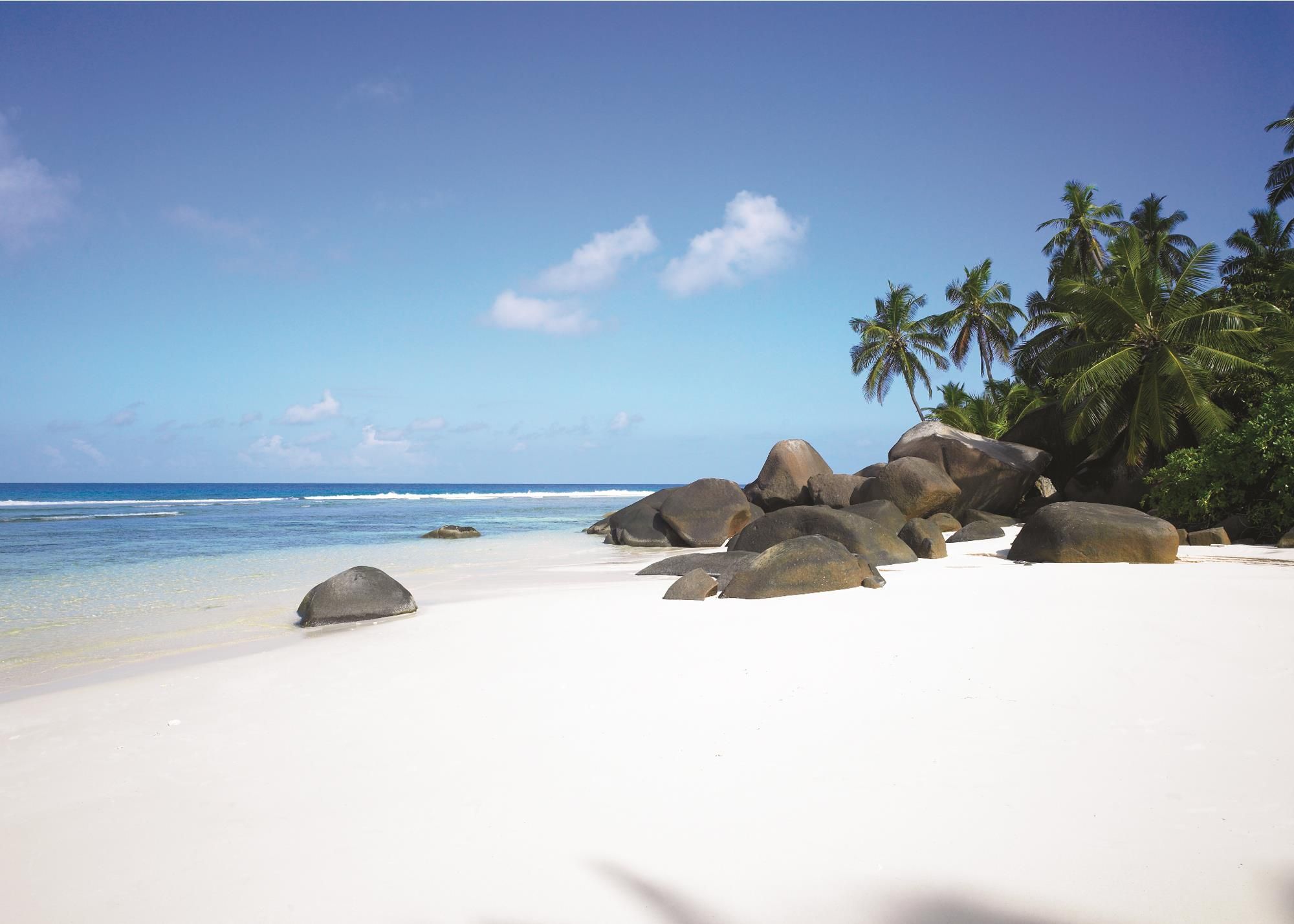 Hd Paradise White S Beach Seychelles Wallpaper, Palm - Seychelles Hilton Labriz Beach , HD Wallpaper & Backgrounds