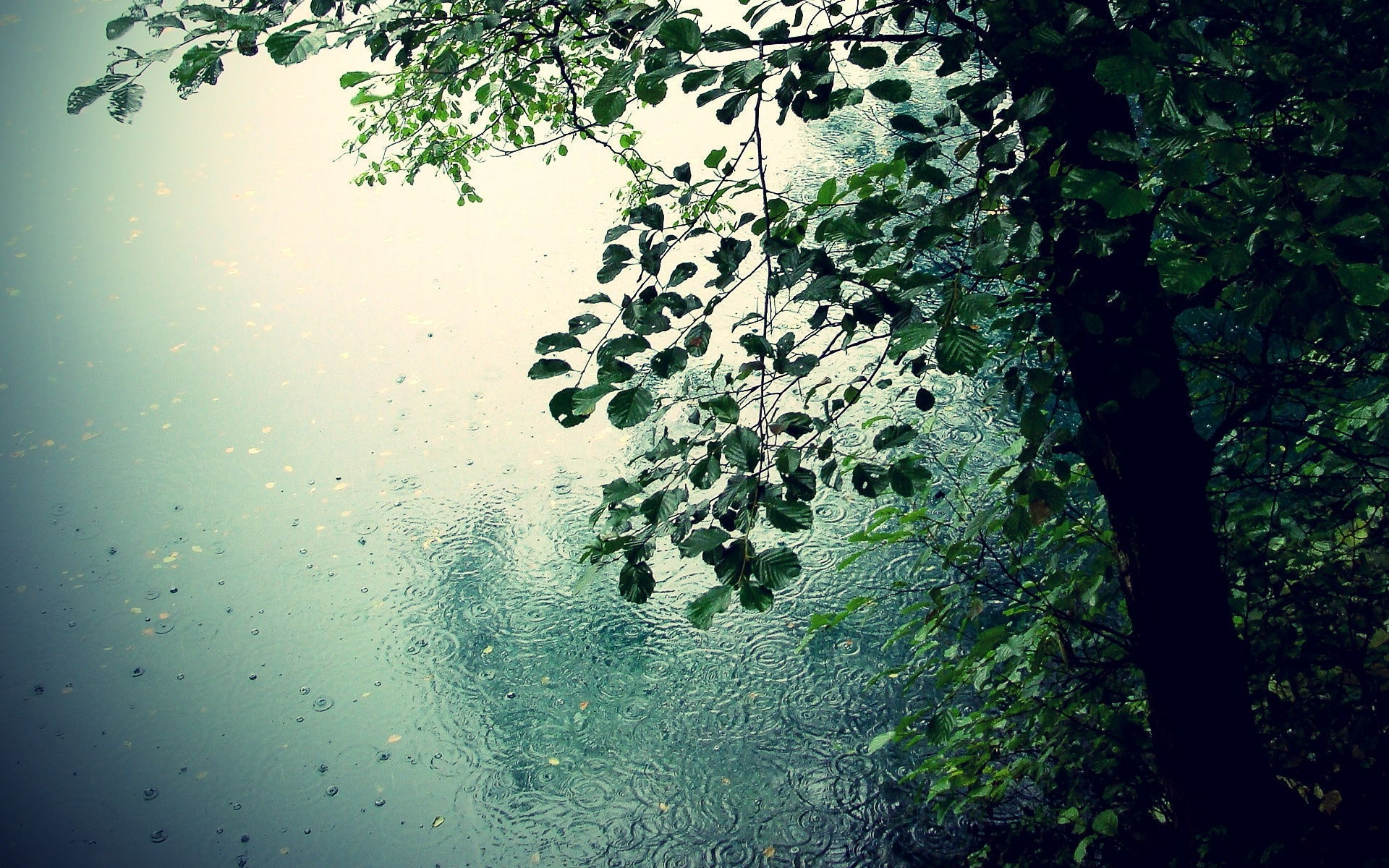 Nature Beautiful Full Screen Wallpaper - Rainy Season In Hd , HD Wallpaper & Backgrounds
