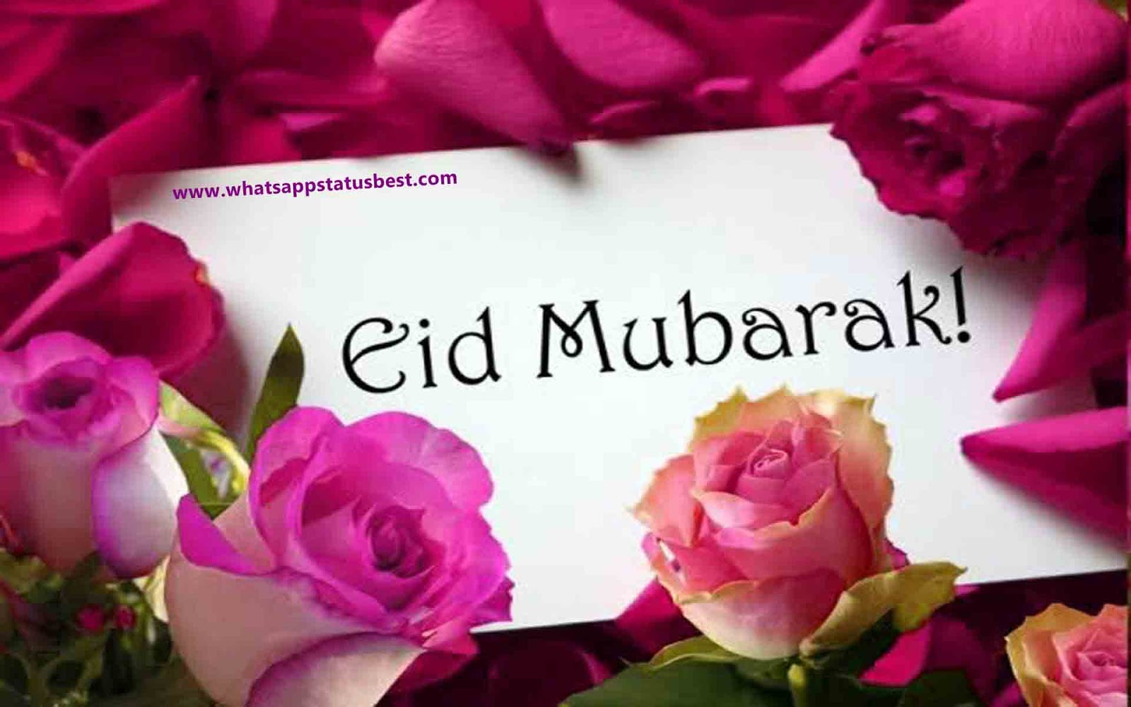 Bakr#facebook Profile Pic - Love Eid Mubarak 2018 , HD Wallpaper & Backgrounds