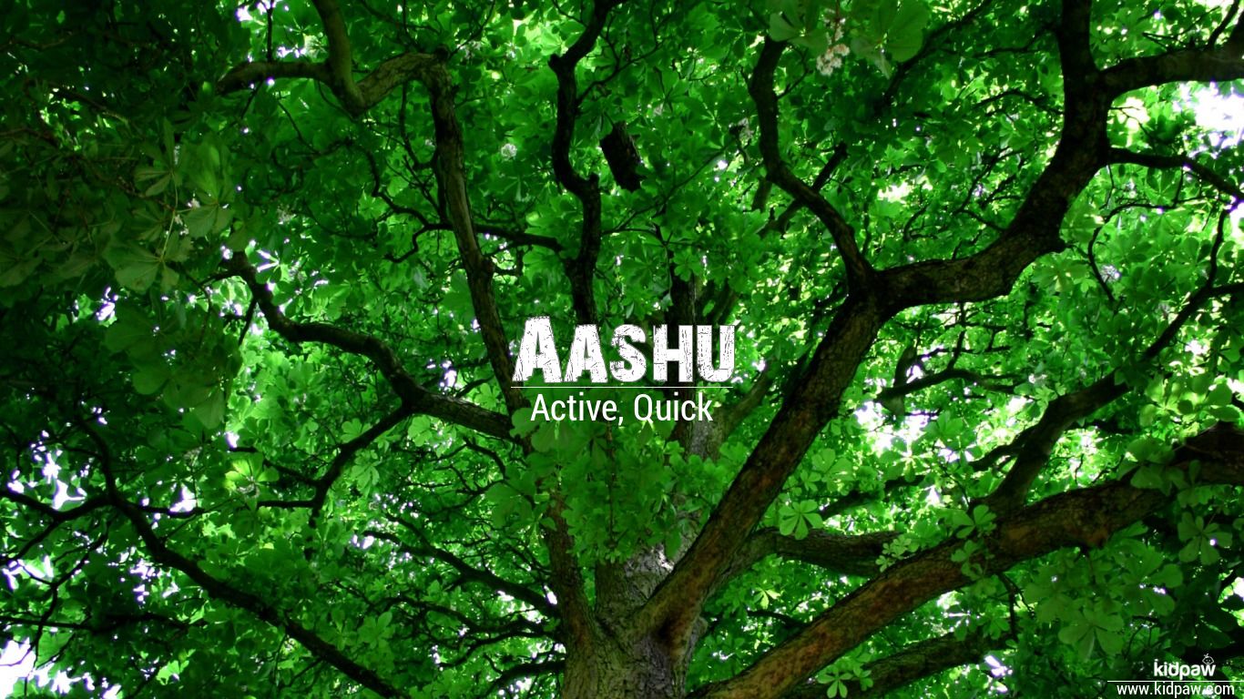 Ashu Name Wallpaper - Aashu Name Meaning In Hindi , HD Wallpaper & Backgrounds